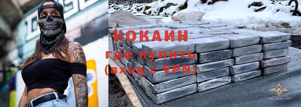 хмурый Арсеньев