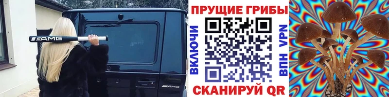 Галлюциногенные грибы мицелий  Пушкино 