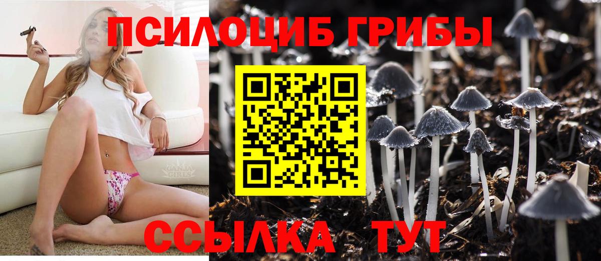 купить закладку  Галлюциногенные грибы Psilocybine cubensis  Вход с VPN  Псилоцибиновые грибы прущие грибы  Пушкино 