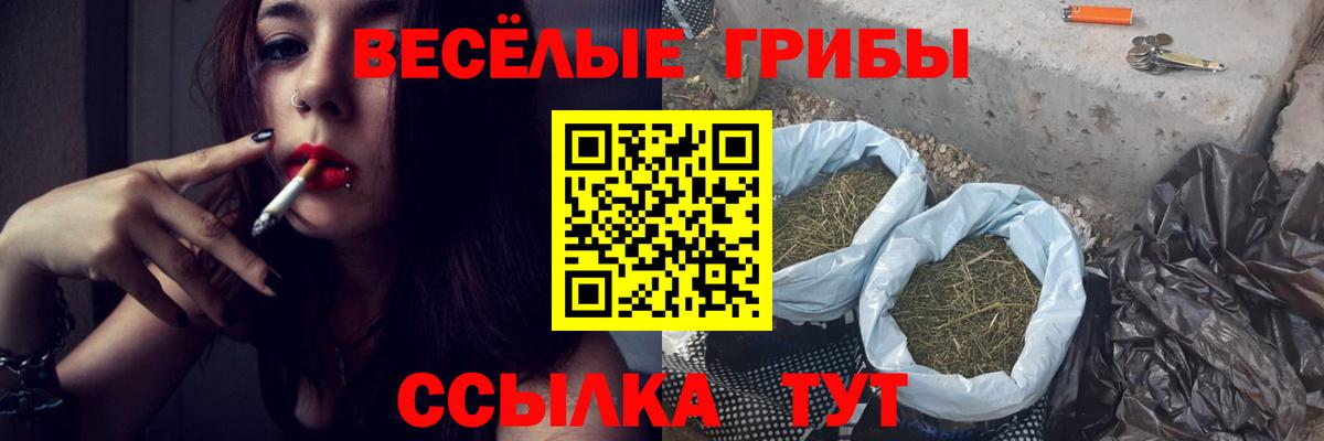 Псилоцибиновые грибы Cubensis Пушкино